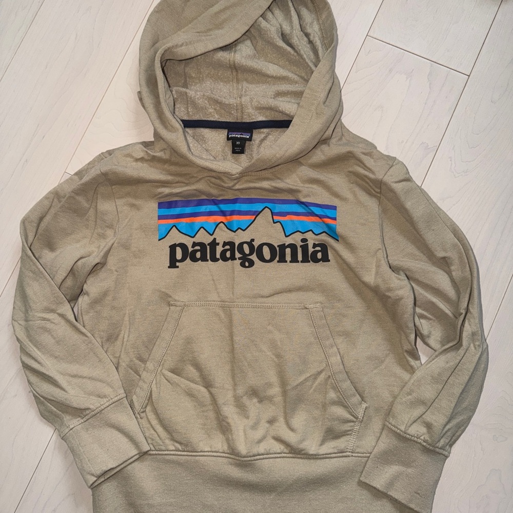 Patagonia Tan Hoodie for kids
